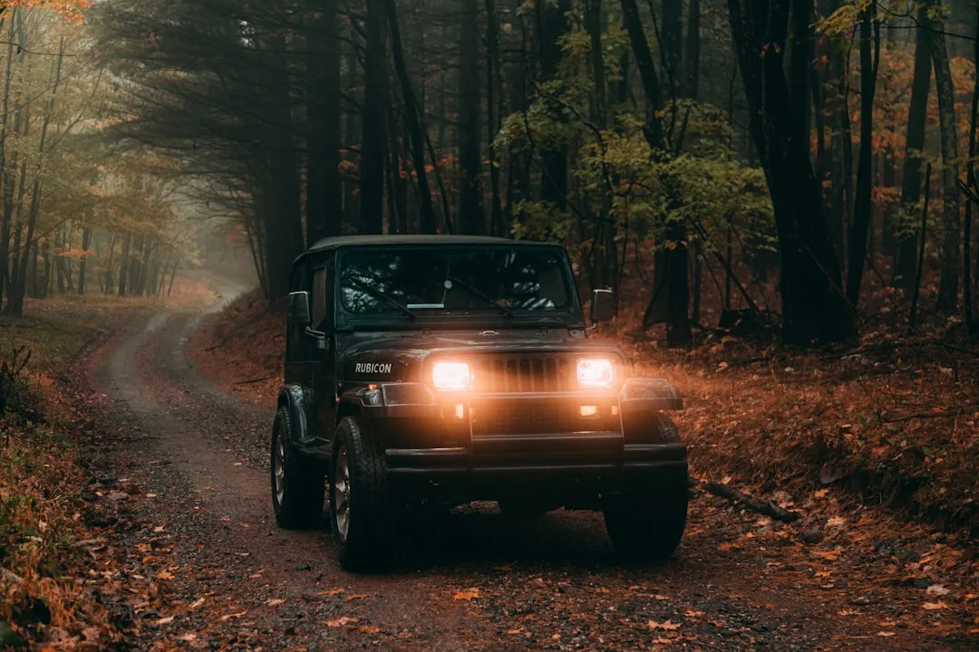 Schwarzer Offroader in freier Natur